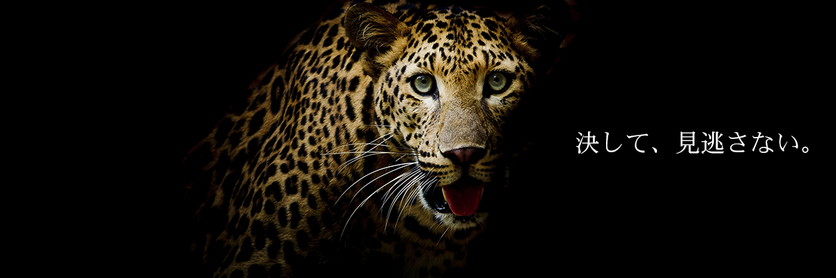 決して、見逃さない